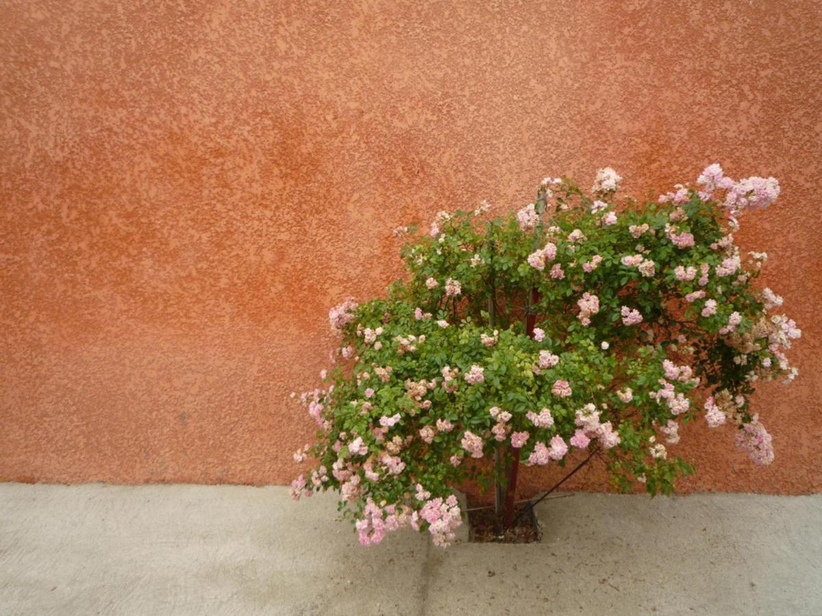 Charming And Quaint 2-Bed House In Marseillan Marseillan (Herault) Exterior foto
